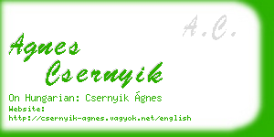 agnes csernyik business card