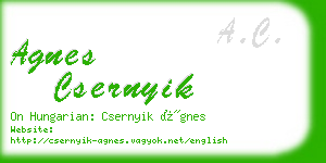 agnes csernyik business card